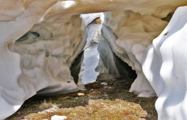 016 - wasser in verschiedenen formen